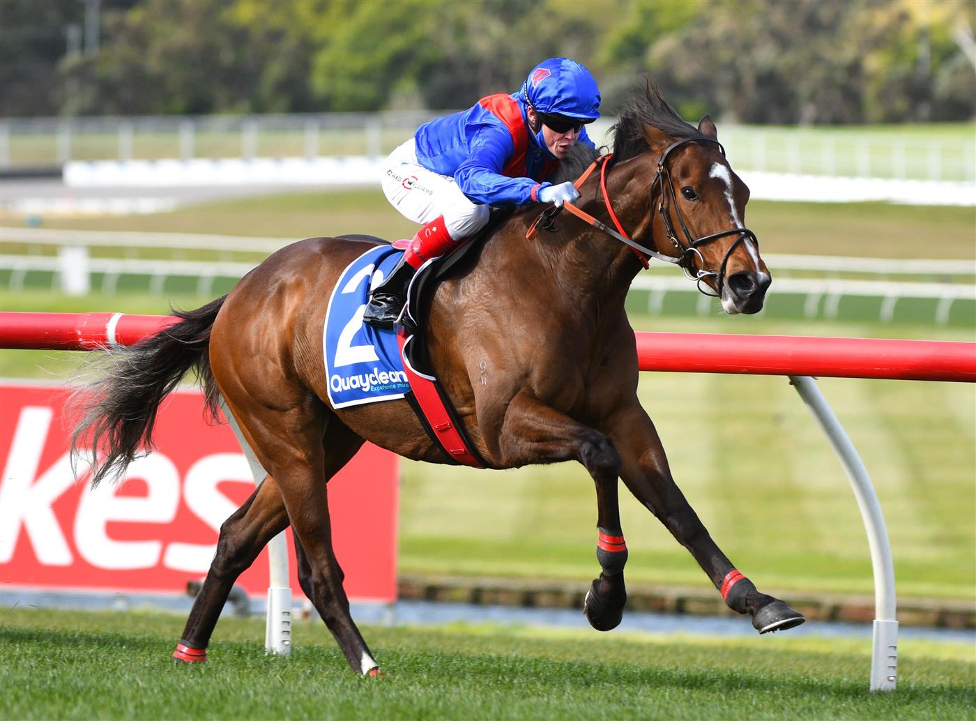 MELBOURNE, AUSTRALIA - SEPTEMBER 25: Craig Williams riding Zaaki winning Race 7, the Quayclean Underwood Stakes,  during Melbourne Racing at Sandown Racecourse on September 25, 2021 in Melbourne, Australia. (Photo by Vince Caligiuri/Getty Images)