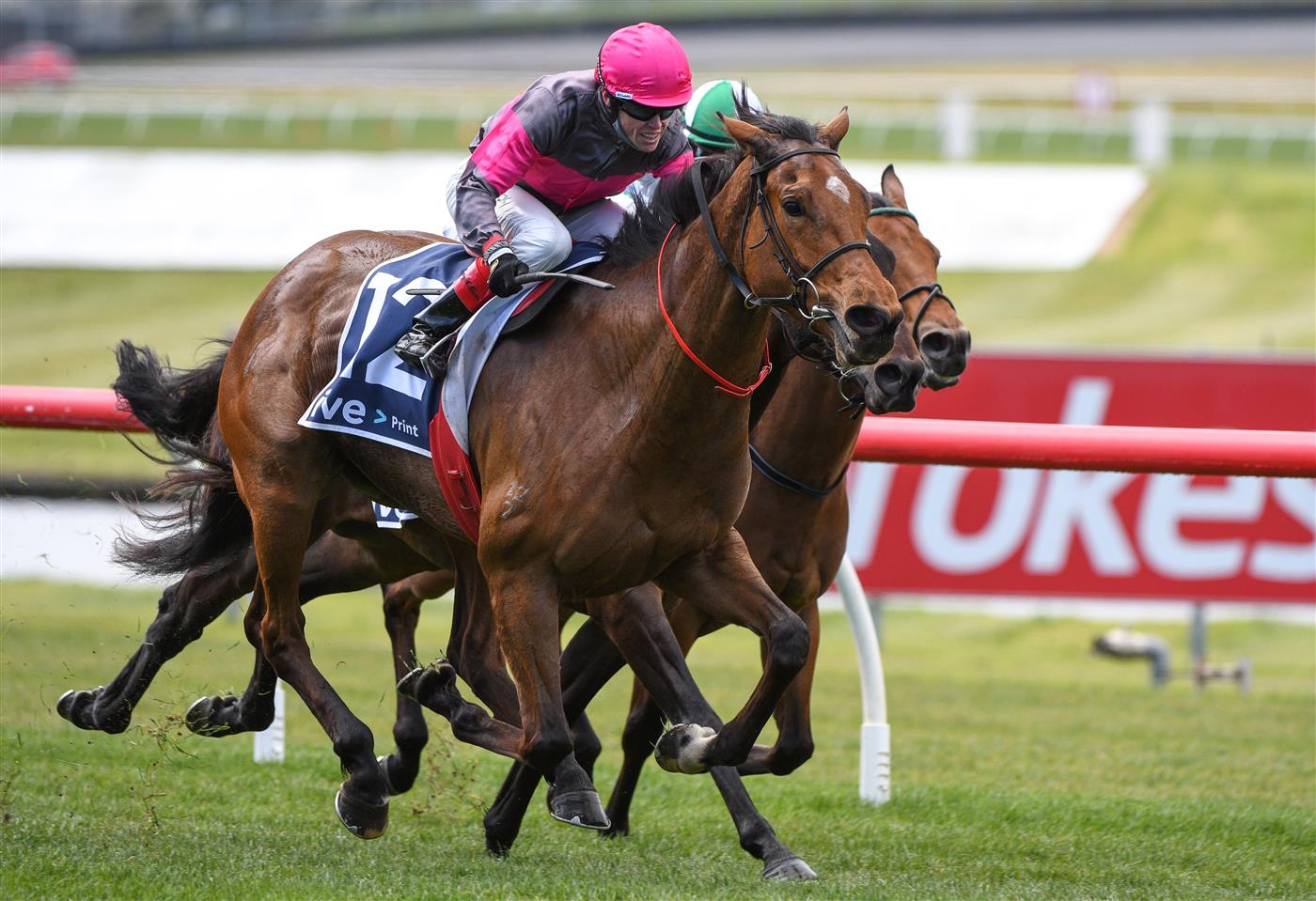 MELBOURNE, AUSTRALIA - SEPTEMBER 25: Craig Williams riding Sirileo Miss winning Race 2, the Ive Print Handicap,  during Melbourne Racing at Sandown Racecourse on September 25, 2021 in Melbourne, Australia. (Photo by Vince Caligiuri/Getty Images)