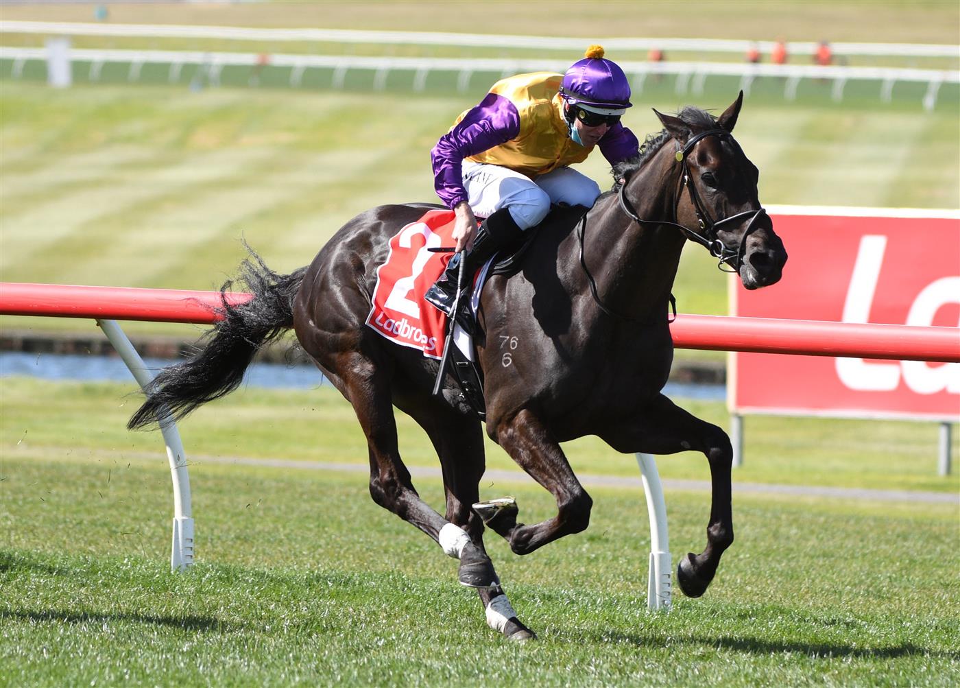 MELBOURNE, AUSTRALIA - SEPTEMBER 25: Damian Lane riding Elephant winning race 5, the Ladbrokes Sandown Stakes, during Melbourne Racing at Sandown Racecourse on September 25, 2021 in Melbourne, Australia. (Photo by Vince Caligiuri/Getty Images)