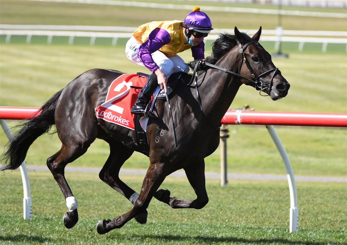MELBOURNE, AUSTRALIA - SEPTEMBER 25: Damian Lane riding Elephant winning race 5, the Ladbrokes Sandown Stakes, during Melbourne Racing at Sandown Racecourse on September 25, 2021 in Melbourne, Australia. (Photo by Vince Caligiuri/Getty Images)