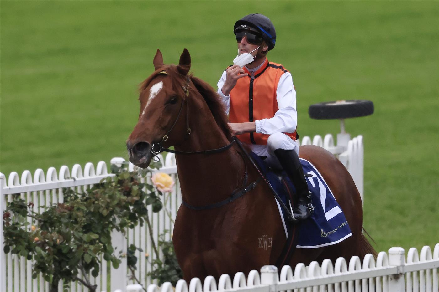 SYDNEY, AUSTRALIA - SEPTEMBER 25: Nash Rawiller on Ellsberg returns to scale after winning  race 10 the Elite Sand & Soil Handicap  during Sydney Racing on Golden Rose Day at Rosehill Gardens on September 25, 2021 in Sydney, Australia. (Photo by Mark Evans/Getty Images)