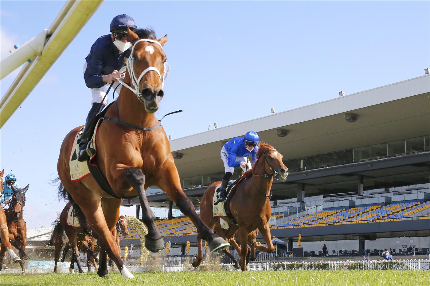 SYDNEY, AUSTRALIA - SEPTEMBER 25: Nash Rawiller on Home Affairs wins race 5 the Petaluma Heritage Stakes during Sydney Racing on Golden Rose Day at Rosehill Gardens on September 25, 2021 in Sydney, Australia. (Photo by Mark Evans/Getty Images)