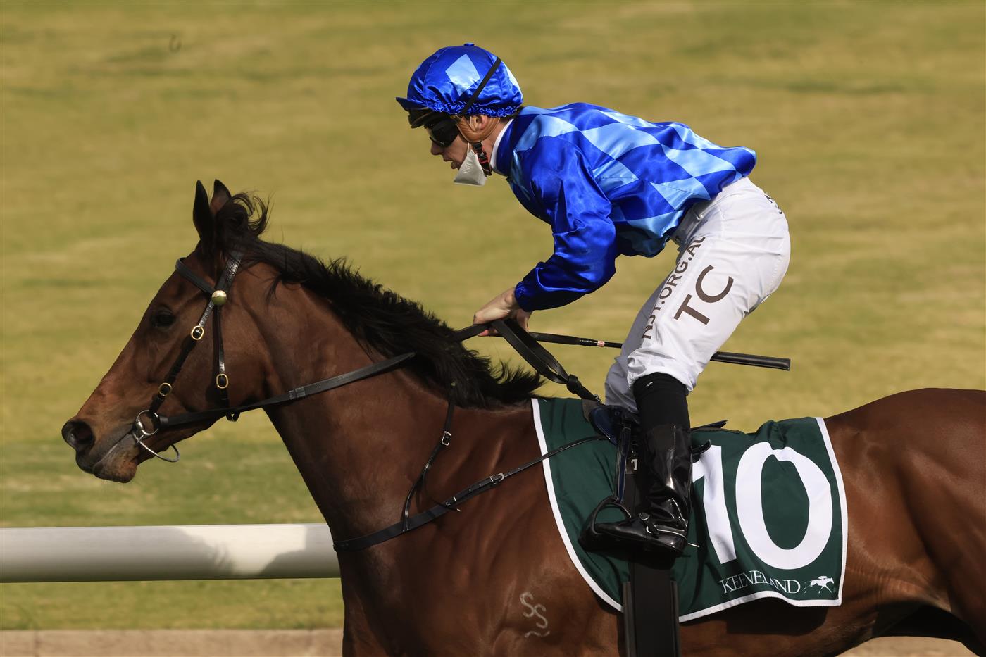 SYDNEY, AUSTRALIA - SEPTEMBER 25: Tim Clark  on Vangelic (royal blue) wins race 7 the Keenland Golden Pendant during Sydney Racing on Golden Rose Day at Rosehill Gardens on September 25, 2021 in Sydney, Australia. (Photo by Mark Evans/Getty Images)
