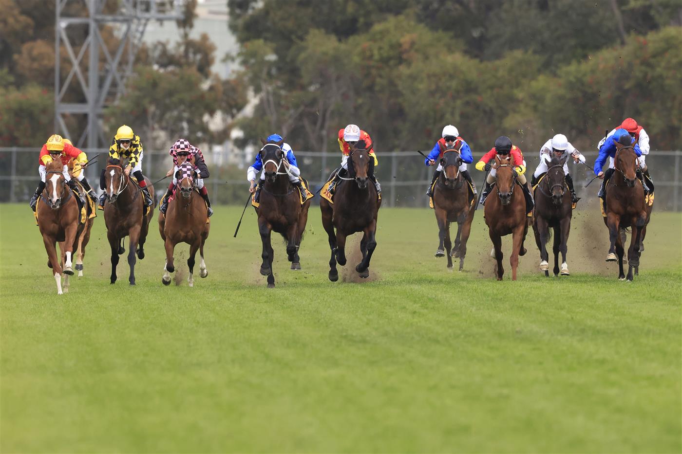 SYDNEY, AUSTRALIA - SEPTEMBER 25: Tim Clark on In The Congo (L), wins race 8 the XXXX Golden Rose during Sydney Racing on Golden Rose Day at Rosehill Gardens on September 25, 2021 in Sydney, Australia. (Photo by Mark Evans/Getty Images)