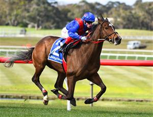 Sandown Highlights - September 25, 2021