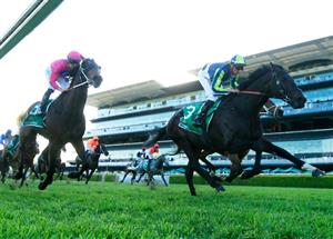 The Metropolitan 2021 Barrier Draw & Final Field