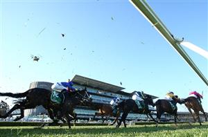 The Metropolitan Live Stream - Watch live racing from Randwick