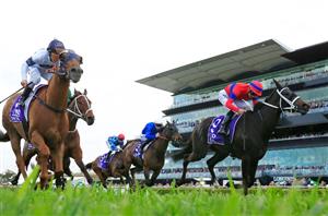 Epsom Handicap Live Stream - Watch live racing from Randwick