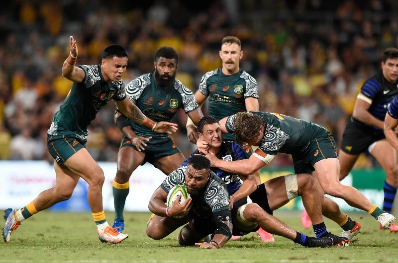 wallabies argentina