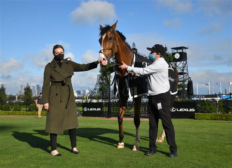 MELBOURNE, AUSTRALIA - OCTOBER 02: Grand Promenade after winning Race 8, the Lexus Bart Cummings,  during Melbourne Racing at Flemington Racecourse on October 02, 2021 in Melbourne, Australia. (Photo by Vince Caligiuri/Getty Images)