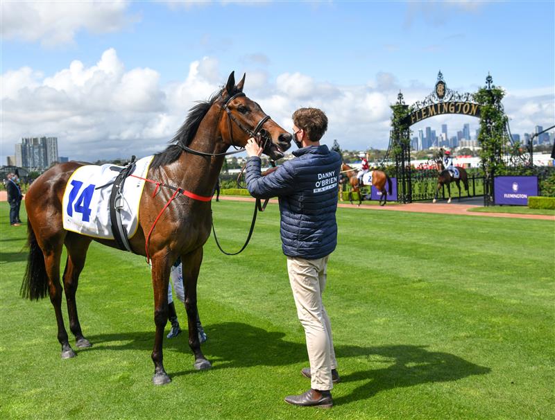 MELBOURNE, AUSTRALIA - OCTOBER 02: El Patroness after winning Race 2, the Kirkland Gold Super Impose Stakes,  during Melbourne Racing at Flemington Racecourse on October 02, 2021 in Melbourne, Australia. (Photo by Vince Caligiuri/Getty Images)