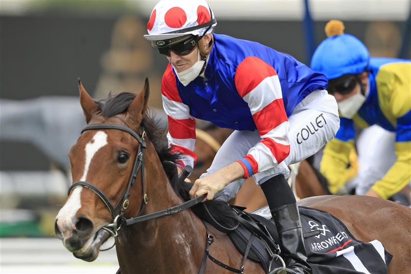 SYDNEY, AUSTRALIA - OCTOBER 02: Jason Collett on Sejardan  wins race 3 the Arrowfield Breeders’ Plate during Sydney Racing on Epsom Day at Royal Randwick Racecourse on October 02, 2021 in Sydney, Australia. (Photo by Mark Evans/Getty Images)