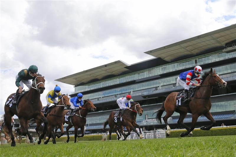 SYDNEY, AUSTRALIA - OCTOBER 02: Jason Collett on Sejardan  wins race 3 the Arrowfield Breeders’ Plate during Sydney Racing on Epsom Day at Royal Randwick Racecourse on October 02, 2021 in Sydney, Australia. (Photo by Mark Evans/Getty Images)