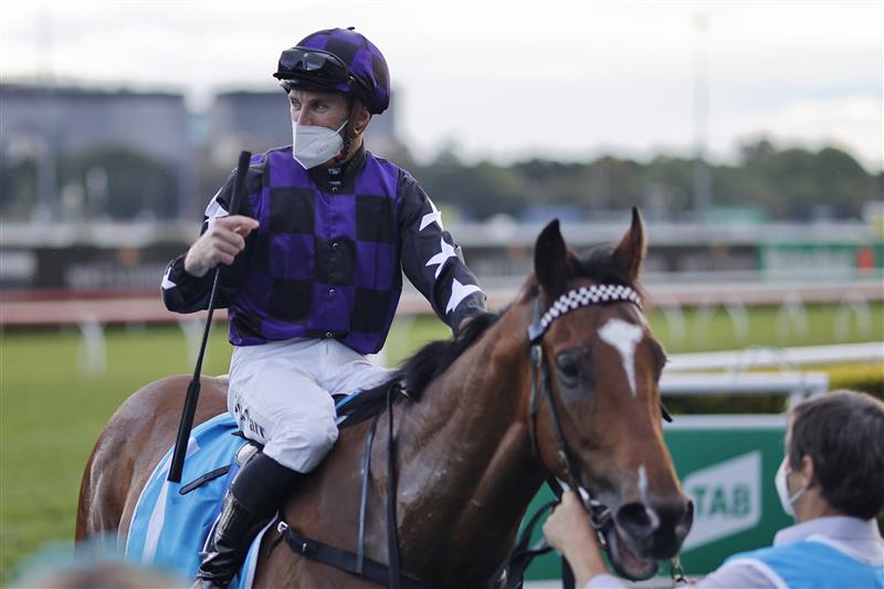 SYDNEY, AUSTRALIA - OCTOBER 02: Josh Parr on Big Parade returns to scale after winning race 10 the Cleanaway Handicap during Sydney Racing on Epsom Day at Royal Randwick Racecourse on October 02, 2021 in Sydney, Australia. (Photo by Mark Evans/Getty Images)