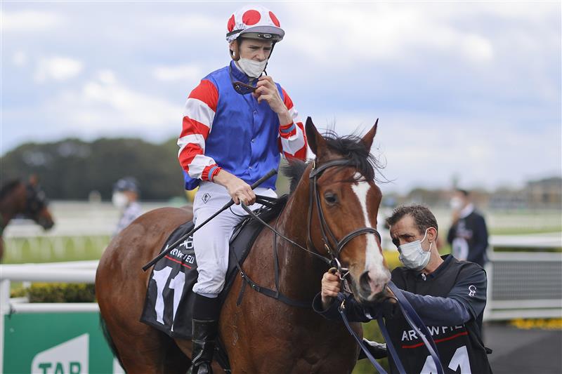 SYDNEY, AUSTRALIA - OCTOBER 02: Jason Collett on Sejardan  returns to scale after winning  race 3 the Arrowfield Breeders’ Plate during Sydney Racing on Epsom Day at Royal Randwick Racecourse on October 02, 2021 in Sydney, Australia. (Photo by Mark Evans/Getty Images)