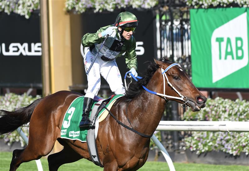 MELBOURNE, AUSTRALIA - OCTOBER 02: Brett Prebble riding Incentivise winning Race 7, the Tab Turnbull Stakes, during Melbourne Racing at Flemington Racecourse on October 02, 2021 in Melbourne, Australia. (Photo by Vince Caligiuri/Getty Images)