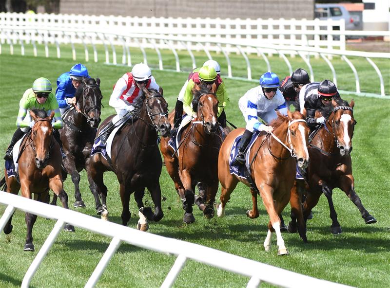 MELBOURNE, AUSTRALIA - OCTOBER 02: Damien Oliver riding  Kementari (back blue) before winning Race 4, the Gilgai Stakes during Melbourne Racing at Flemington Racecourse on October 02, 2021 in Melbourne, Australia. (Photo by Vince Caligiuri/Getty Images)