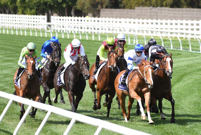 MELBOURNE, AUSTRALIA - OCTOBER 02: Damien Oliver riding  Kementari (back blue) before winning Race 4, the Gilgai Stakes during Melbourne Racing at Flemington Racecourse on October 02, 2021 in Melbourne, Australia. (Photo by Vince Caligiuri/Getty Images)