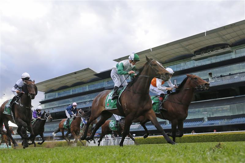 SYDNEY, AUSTRALIA - OCTOBER 02: Hugh Bowman on Montefilia (R), wins race 9 the Heineken Metropolitan during Sydney Racing on Epsom Day at Royal Randwick Racecourse on October 02, 2021 in Sydney, Australia. (Photo by Mark Evans/Getty Images)