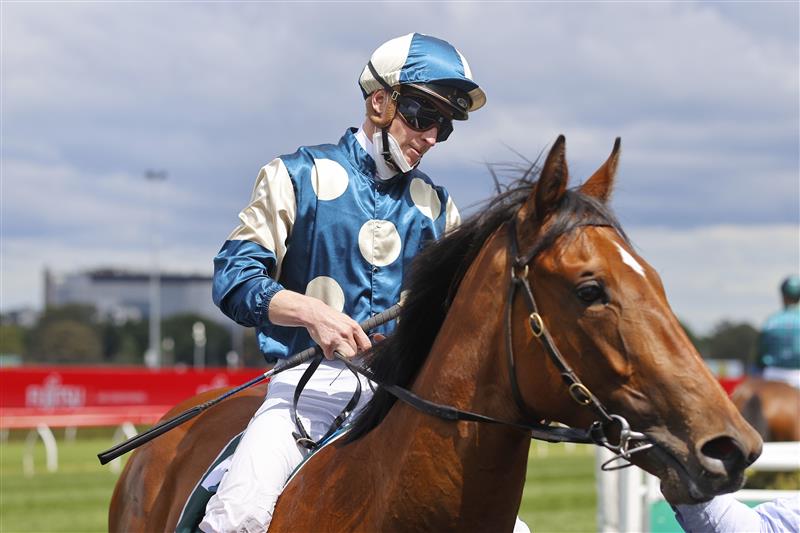 SYDNEY, AUSTRALIA - OCTOBER 02: James McDonald on Coolangatta returns to scale after winning race 2 the Keeneland Gimcrack Stakes during Sydney Racing on Epsom Day at Royal Randwick Racecourse on October 02, 2021 in Sydney, Australia. (Photo by Mark Evans/Getty Images)