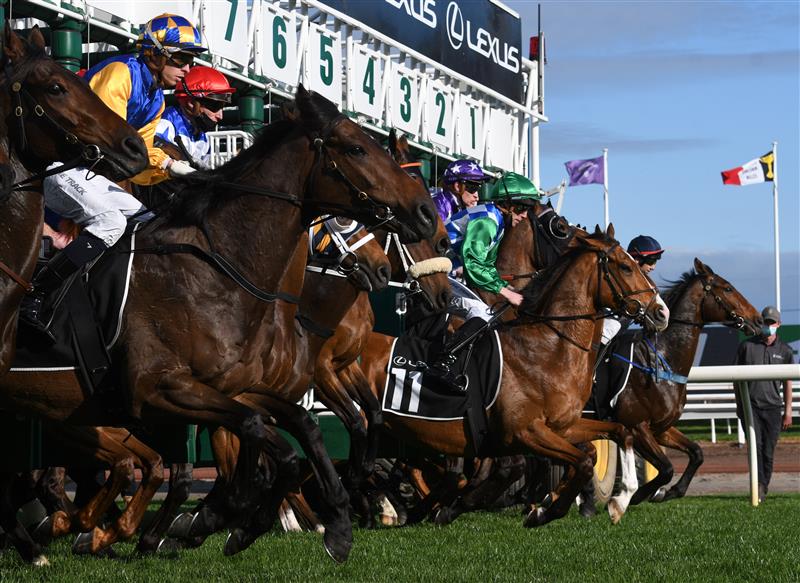 MELBOURNE, AUSTRALIA - OCTOBER 02: John Allen riding Grand Promenade jumps out of the barriers before winning  Race 8, the Lexus Bart Cummings,  during Melbourne Racing at Flemington Racecourse on October 02, 2021 in Melbourne, Australia. (Photo by Vince Caligiuri/Getty Images)