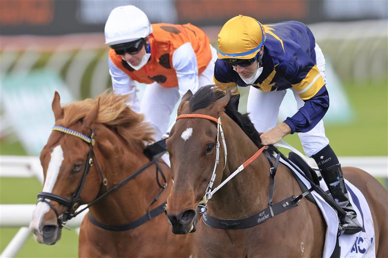 SYDNEY, AUSTRALIA - OCTOBER 02: Tommy Berry on Masked Crusader (yellow cap), wins race 6 the ACY Securities Premiere Stakes during Sydney Racing on Epsom Day at Royal Randwick Racecourse on October 02, 2021 in Sydney, Australia. (Photo by Mark Evans/Getty Images)