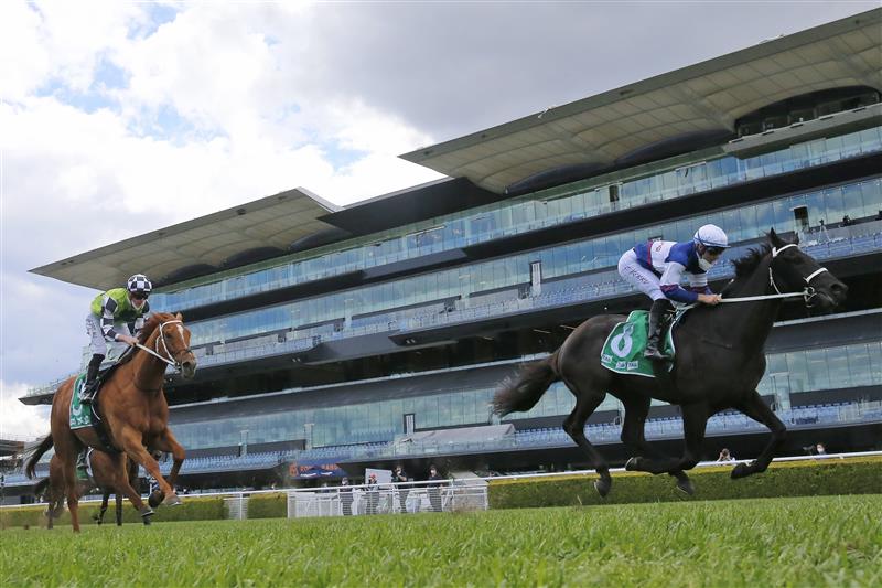 SYDNEY, AUSTRALIA - OCTOBER 02: Tommy Berry on Wairere Falls wins race 4 the TAB handicap during Sydney Racing on Epsom Day at Royal Randwick Racecourse on October 02, 2021 in Sydney, Australia. (Photo by Mark Evans/Getty Images)