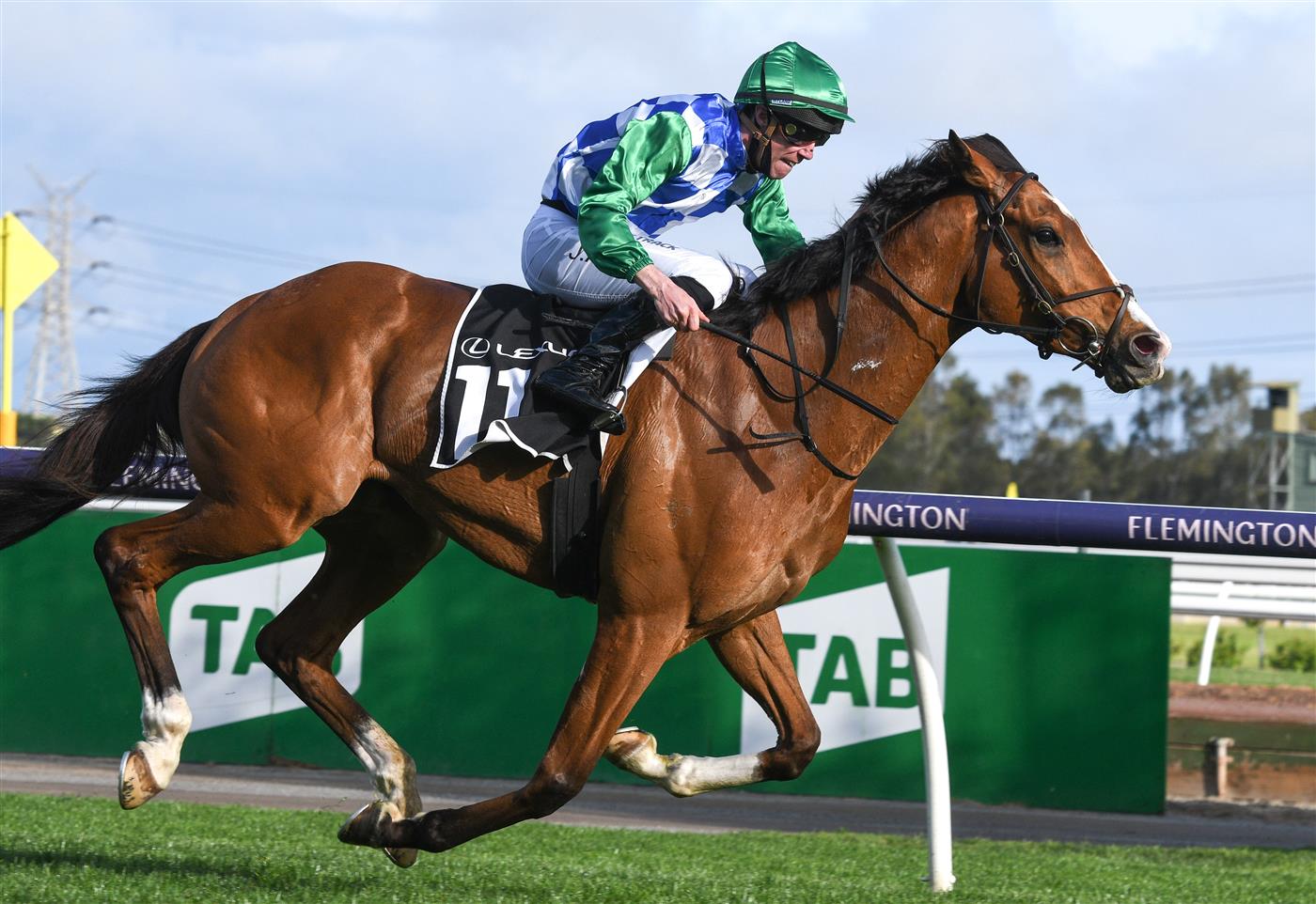 MELBOURNE, AUSTRALIA - OCTOBER 02: John Allen riding Grand Promenade winning  Race 8, the Lexus Bart Cummings,  during Melbourne Racing at Flemington Racecourse on October 02, 2021 in Melbourne, Australia. (Photo by Vince Caligiuri/Getty Images)