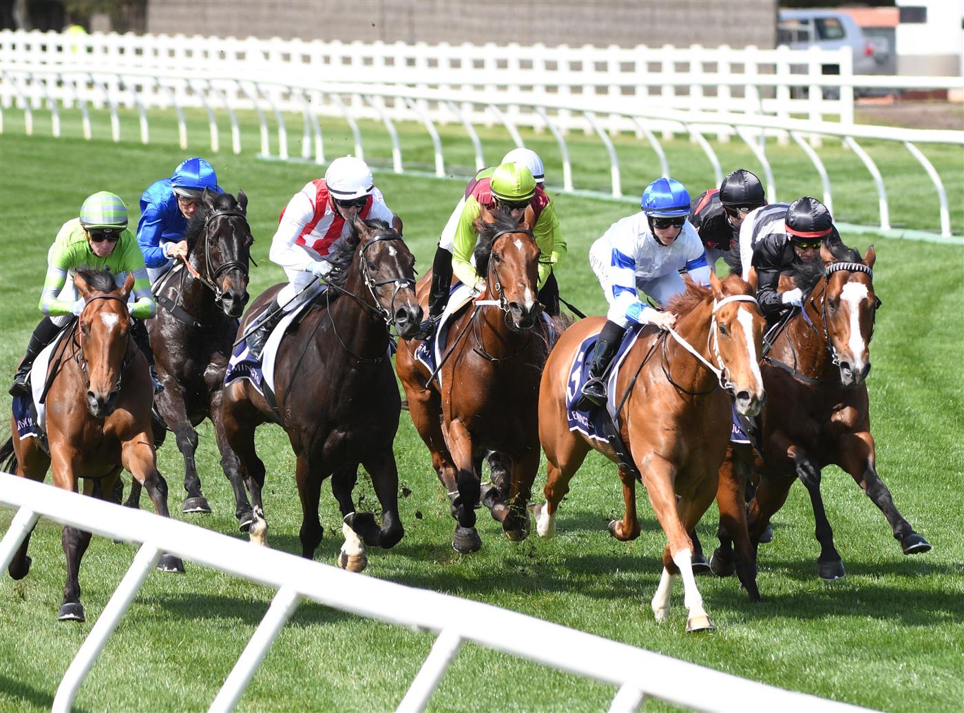 MELBOURNE, AUSTRALIA - OCTOBER 02: Damien Oliver riding  Kementari (back blue) before winning Race 4, the Gilgai Stakes during Melbourne Racing at Flemington Racecourse on October 02, 2021 in Melbourne, Australia. (Photo by Vince Caligiuri/Getty Images)
