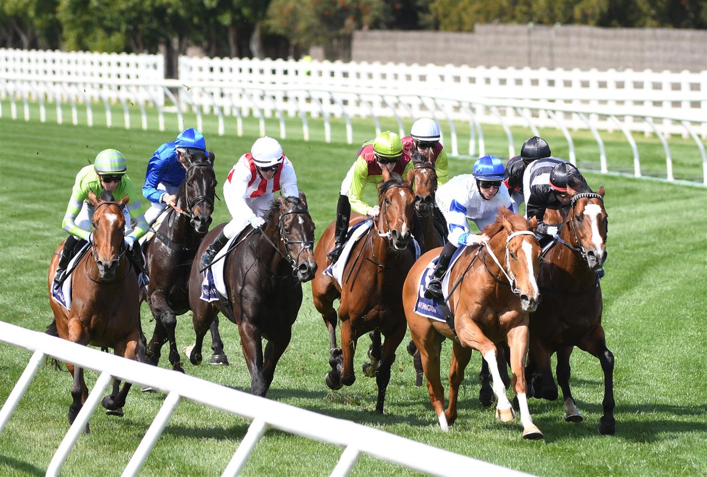 MELBOURNE, AUSTRALIA - OCTOBER 02: Damien Oliver riding  Kementari (back blue) before winning Race 4, the Gilgai Stakes during Melbourne Racing at Flemington Racecourse on October 02, 2021 in Melbourne, Australia. (Photo by Vince Caligiuri/Getty Images)