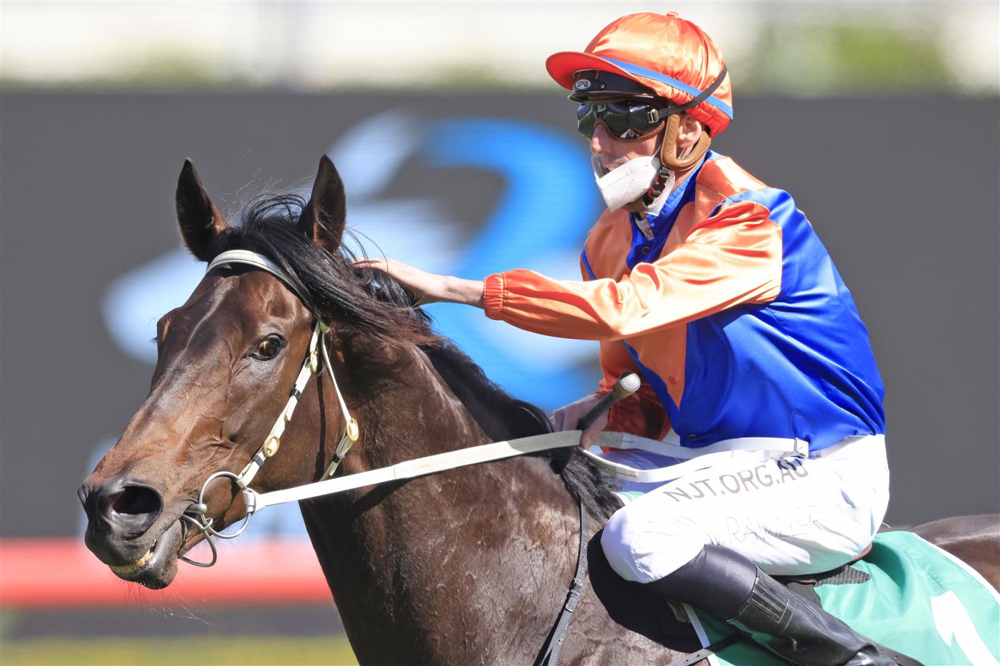 SYDNEY, AUSTRALIA - OCTOBER 02: Nash Rawiller on Think It Over returns to scale after winning race 5 the Yulong Hill Stakes during Sydney Racing on Epsom Day at Royal Randwick Racecourse on October 02, 2021 in Sydney, Australia. (Photo by Mark Evans/Getty Images)