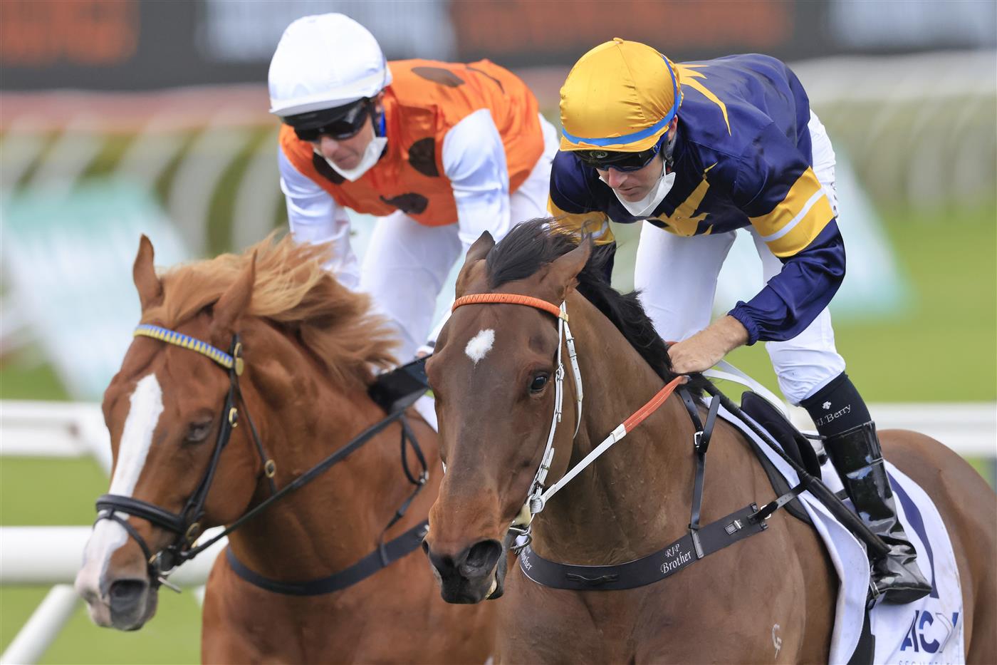 SYDNEY, AUSTRALIA - OCTOBER 02: Tommy Berry on Masked Crusader (yellow cap), wins race 6 the ACY Securities Premiere Stakes during Sydney Racing on Epsom Day at Royal Randwick Racecourse on October 02, 2021 in Sydney, Australia. (Photo by Mark Evans/Getty Images)