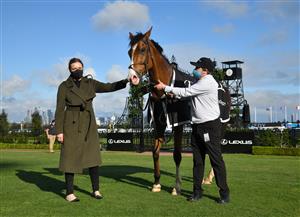 MELBOURNE, AUSTRALIA - OCTOBER 02: Grand Promenade after winning Race 8, the Lexus Bart Cummings,  during Melbourne Racing at Flemington Racecourse on October 02, 2021 in Melbourne, Australia. (Photo by Vince Caligiuri/Getty Images)