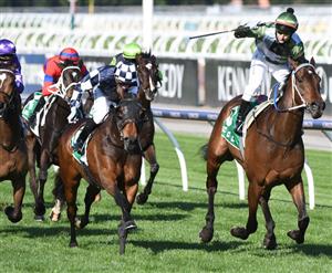 Flemington Highlights - October 2