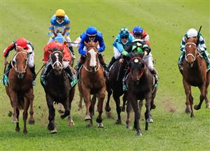 Randwick Highlights - Epsom Handicap Day