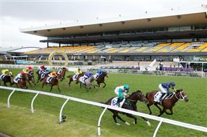 Spring Champion Stakes Betting Odds - Profondo shades Head Of State