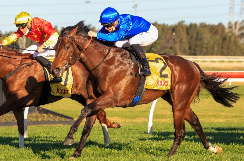 Caulfield Guineas Tips Free Betting Previews And Best Bets For The 