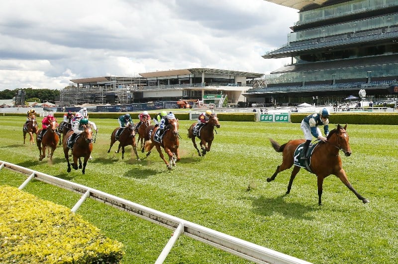 Golden Slipper Betting Odds
