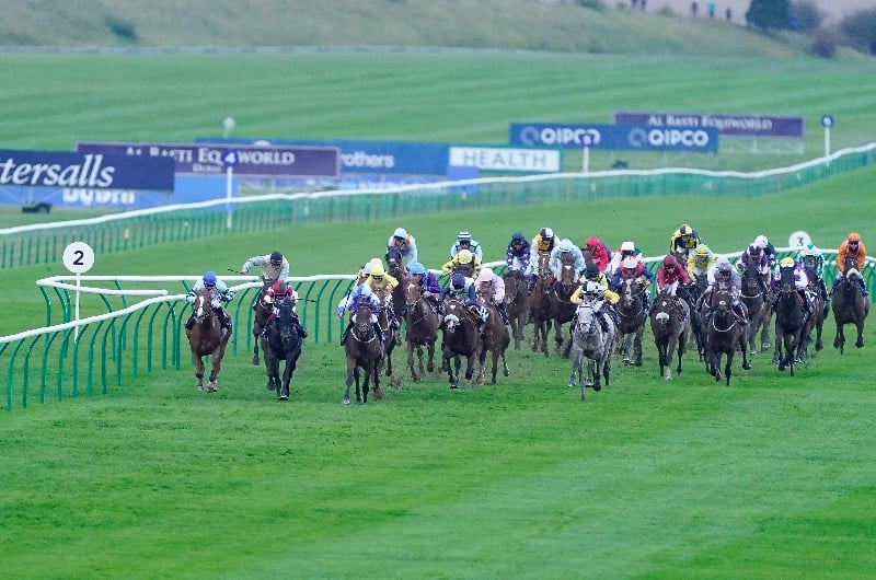 cesarewitch