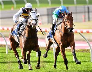Toorak Handicap Betting Odds - I'm Thunderstruck heads the betting