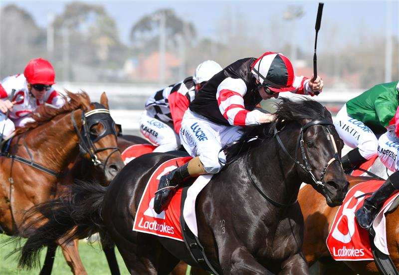 MELBOURNE, AUSTRALIA - SEPTEMBER 23: Damian Lane riding So Si Bon  finishing 3rd in Race 5 during Melbourne Racing at Caulfield Racecourse on September 23, 2017 in Melbourne, Australia.  (Photo by Vince Caligiuri/Getty Images)