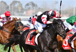 MELBOURNE, AUSTRALIA - SEPTEMBER 23: Damian Lane riding So Si Bon  finishing 3rd in Race 5 during Melbourne Racing at Caulfield Racecourse on September 23, 2017 in Melbourne, Australia.  (Photo by Vince Caligiuri/Getty Images)