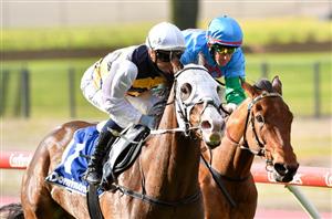 Toorak Handicap 2021 Barrier Draw & Final Field