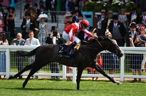 2021 Dewhurst Stakes Tips - 25/1 outsider the value bet at Newmarket