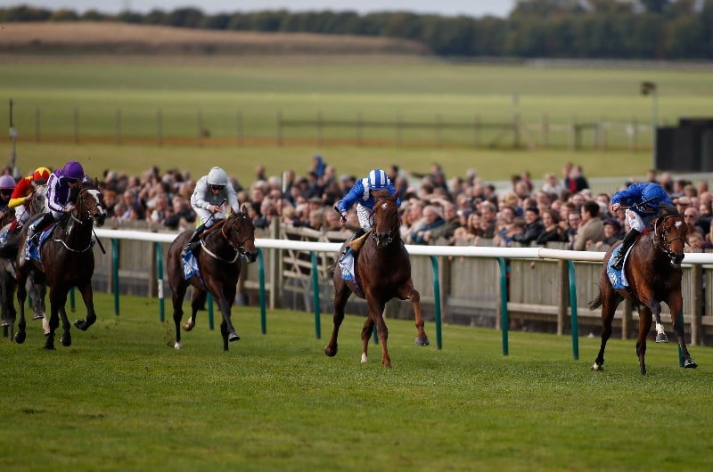 ITV Racing Tips Free Horse Racing Tips October 9th