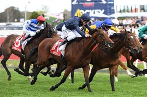 Might And Power Stakes Live Stream - Watch the Caulfield race live