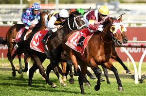 Toorak Handicap Live Stream - Watch the Caulfeld race live