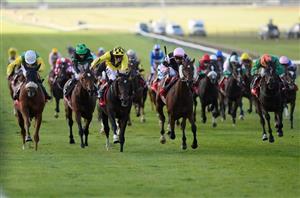 2021 Cesarewitch Handicap Tips - Odds, Key Trends and Two To Back