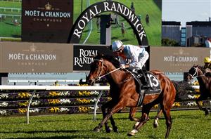 Spring Champion Stakes Live Stream - Watch the Randwick race live