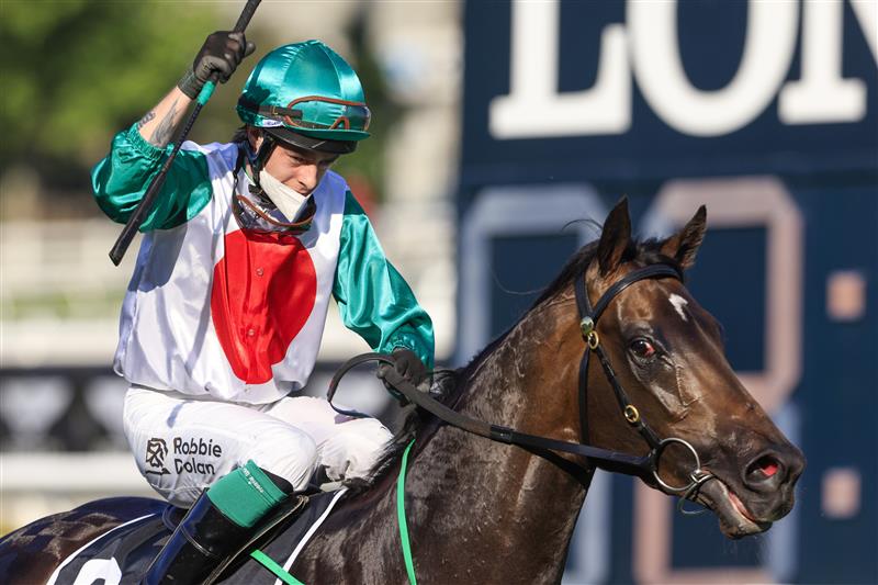 SYDNEY, AUSTRALIA - OCTOBER 09: Robbie Dolan on Profondo salutes after winning race 8 the Moet & Chandon Spring Champion Stakes during Sydney Racing at Royal Randwick Racecourse on October 09, 2021 in Sydney, Australia. (Photo by Mark Evans/Getty Images)